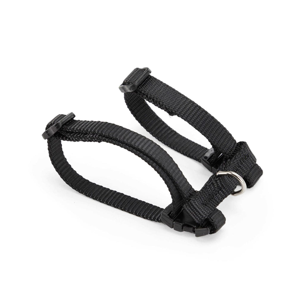 Ferret Harness & Lead G51114