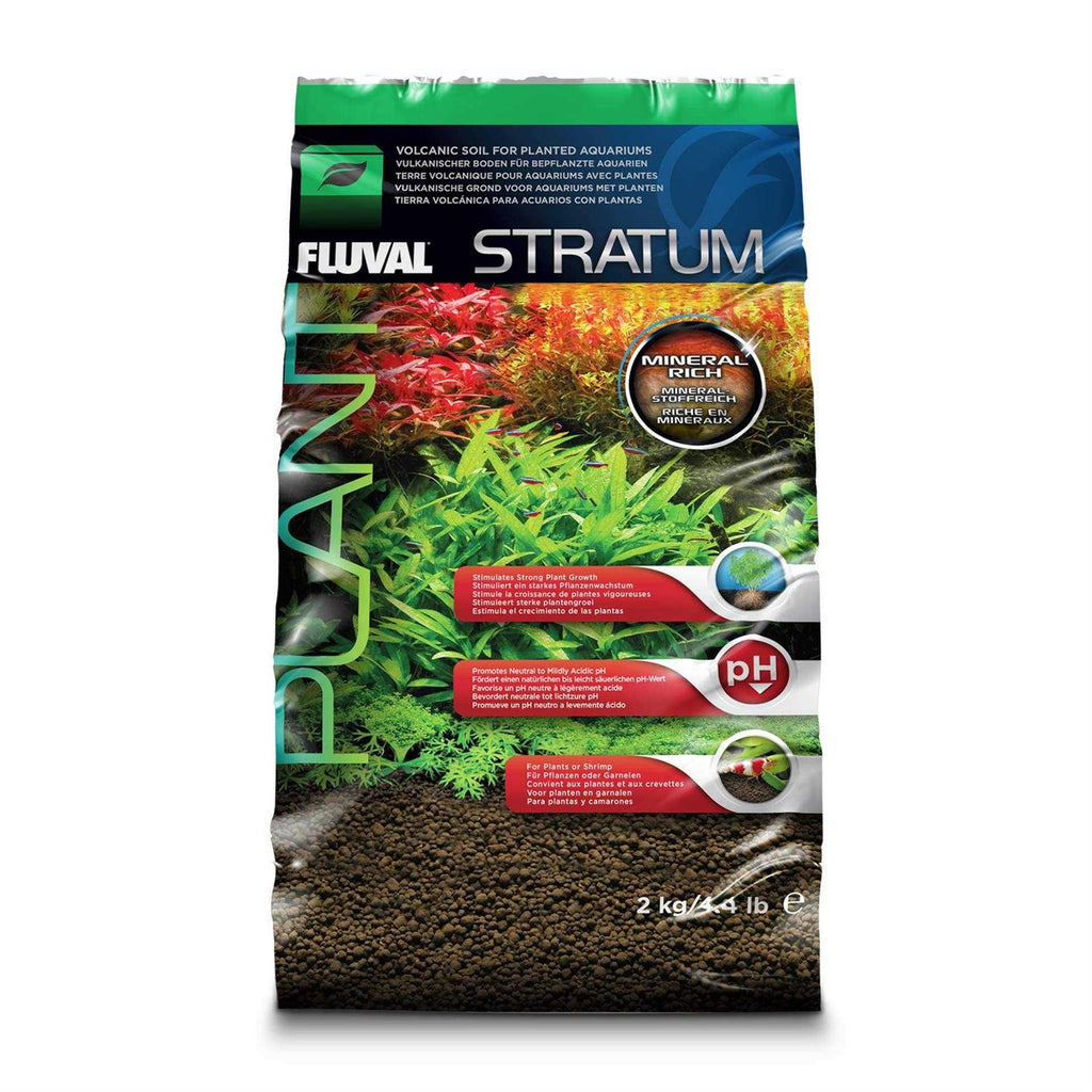 Plant and Shrimp Stratum M4120