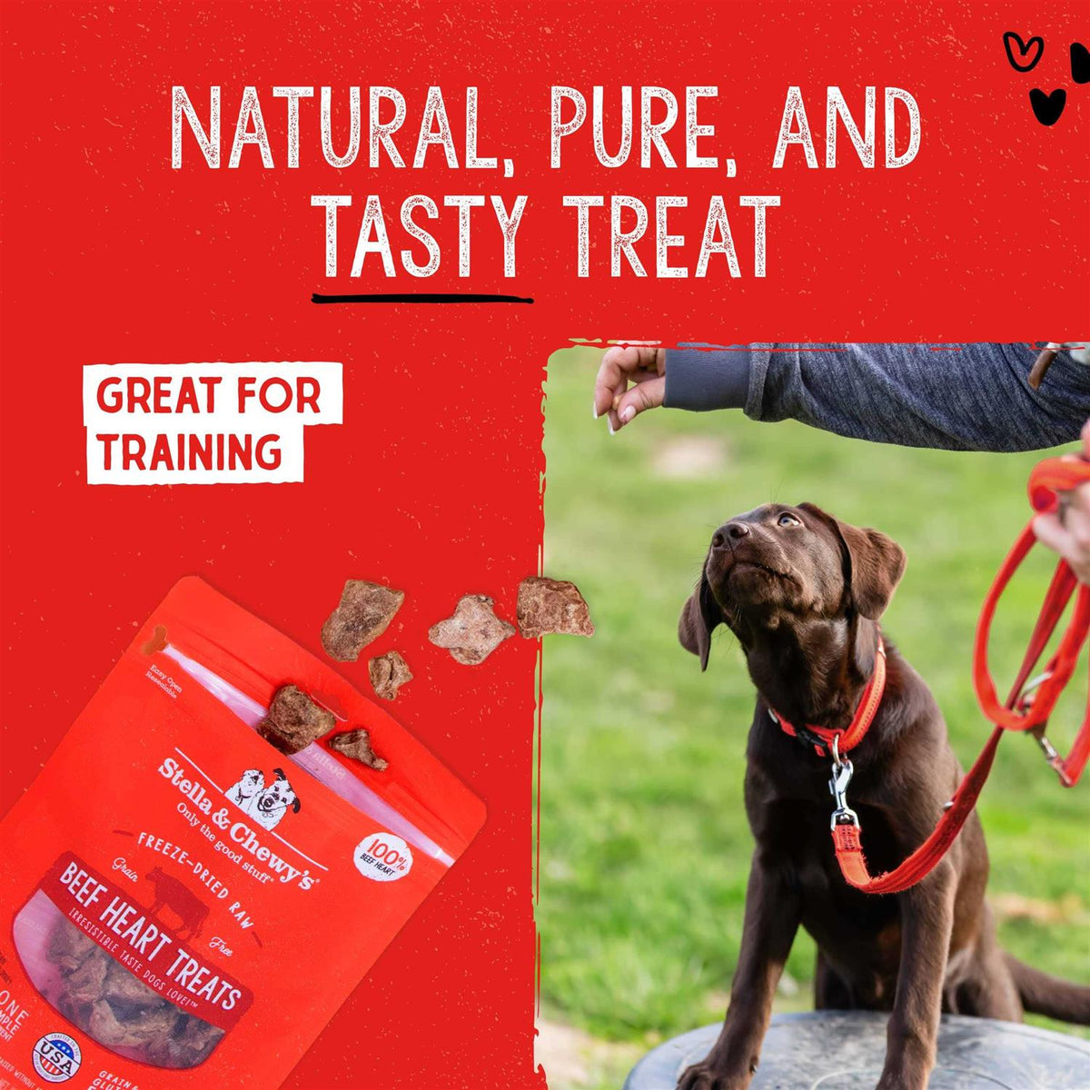 Freeze Dried Beef Dog Treats Q6287