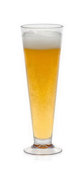 16 oz Pilsner Y53365
