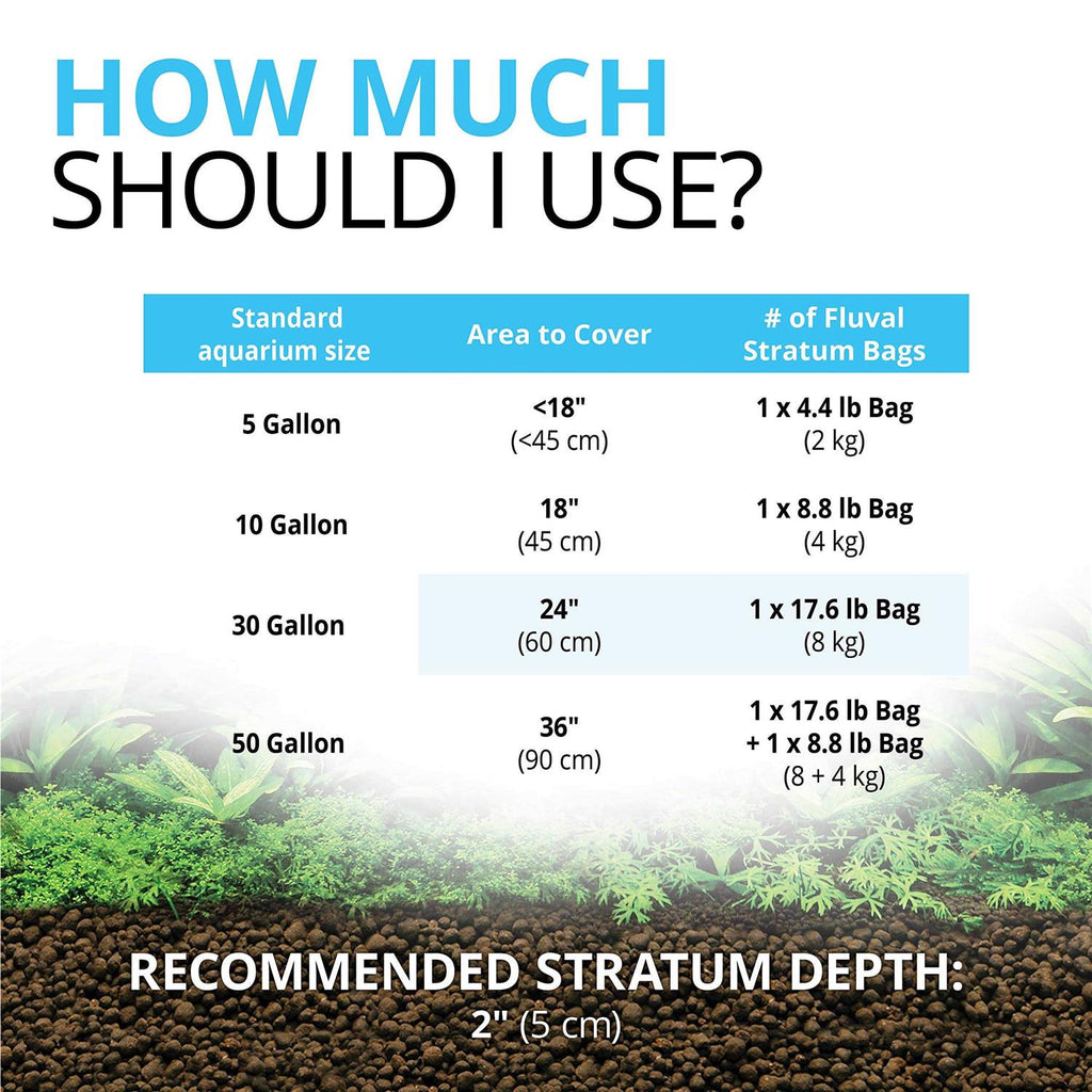 Plant and Shrimp Stratum M4120
