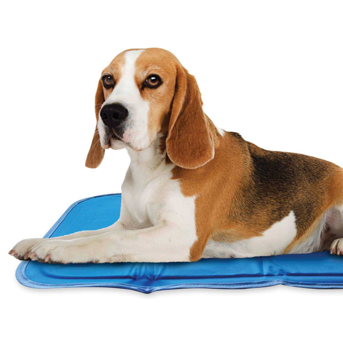 Sage Gray Self Cooling Pet Pad S963