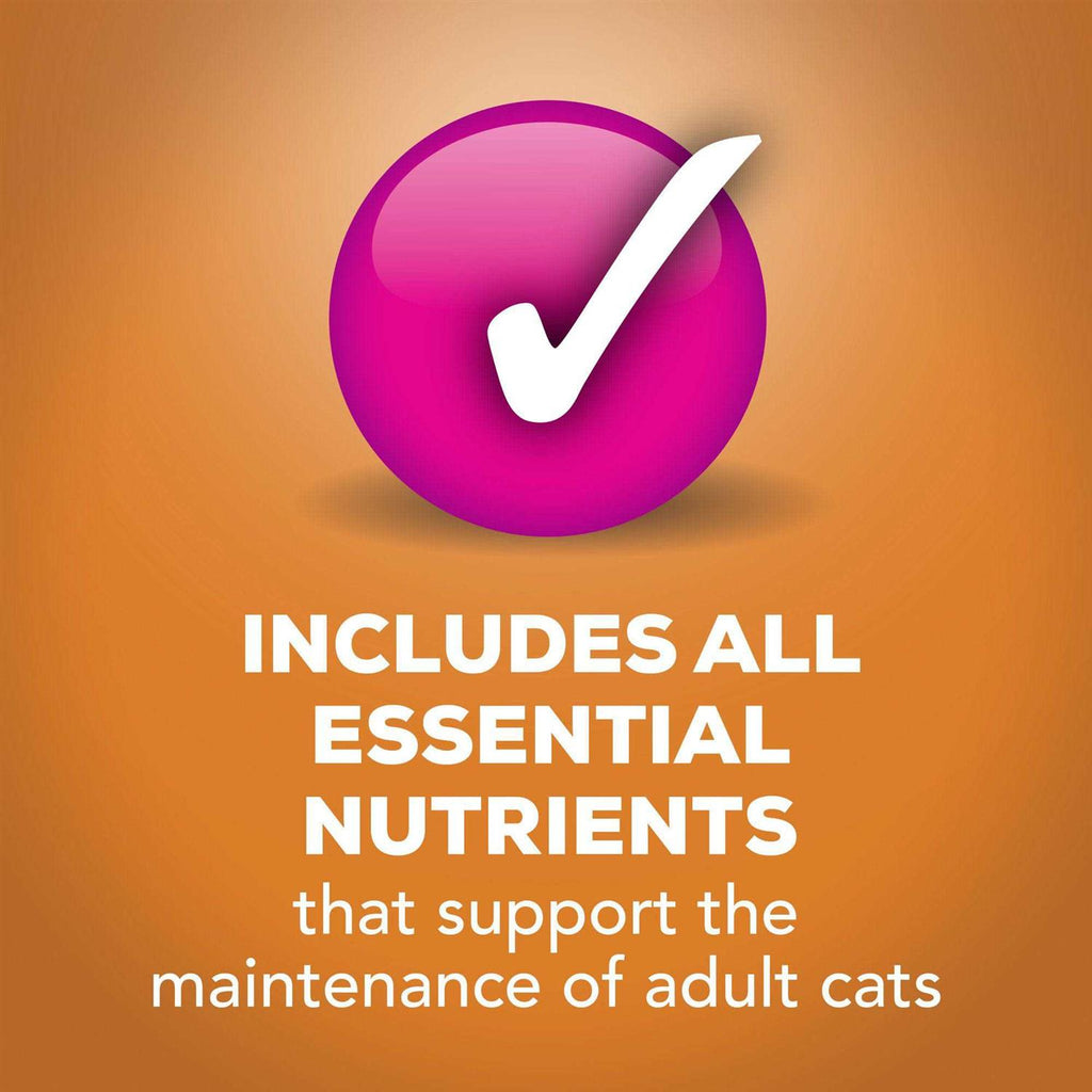 Wet Cat Food Gravy X346180