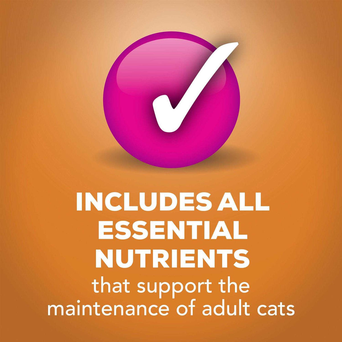 Wet Cat Food Gravy X346180