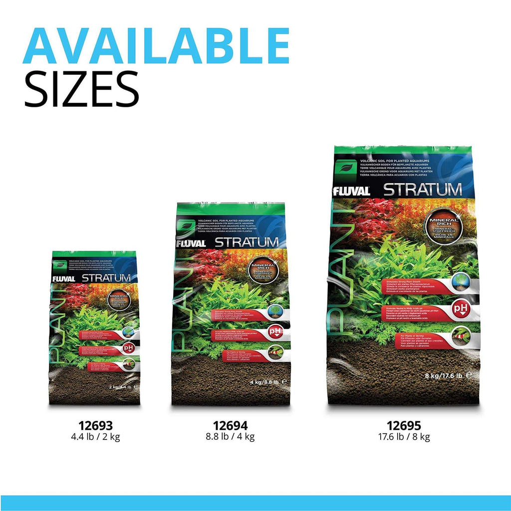 Plant and Shrimp Stratum M4120